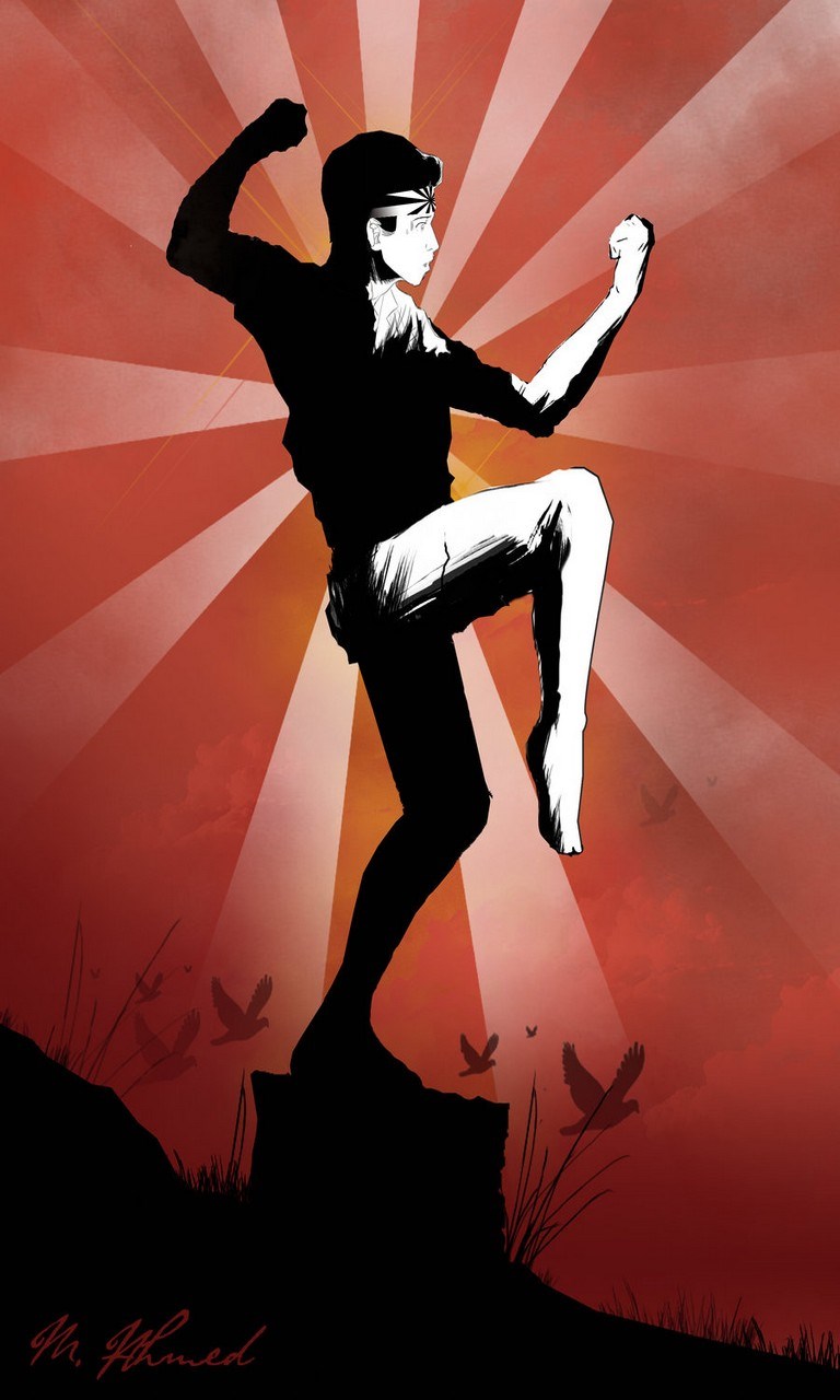 Karate HD Wallpaper Background | FREE Windows Phone app market