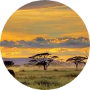 Safari Wallpaper New Tab