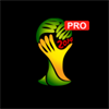 World Cup 2014 Pro