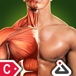 Sports Anatomy 3D Free - Continuum Pack