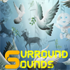 Surrounds Sounds