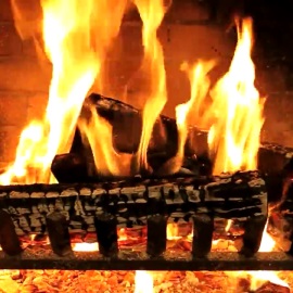 Fireplace Free Windows Phone App Market