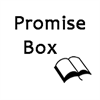 Box Promise