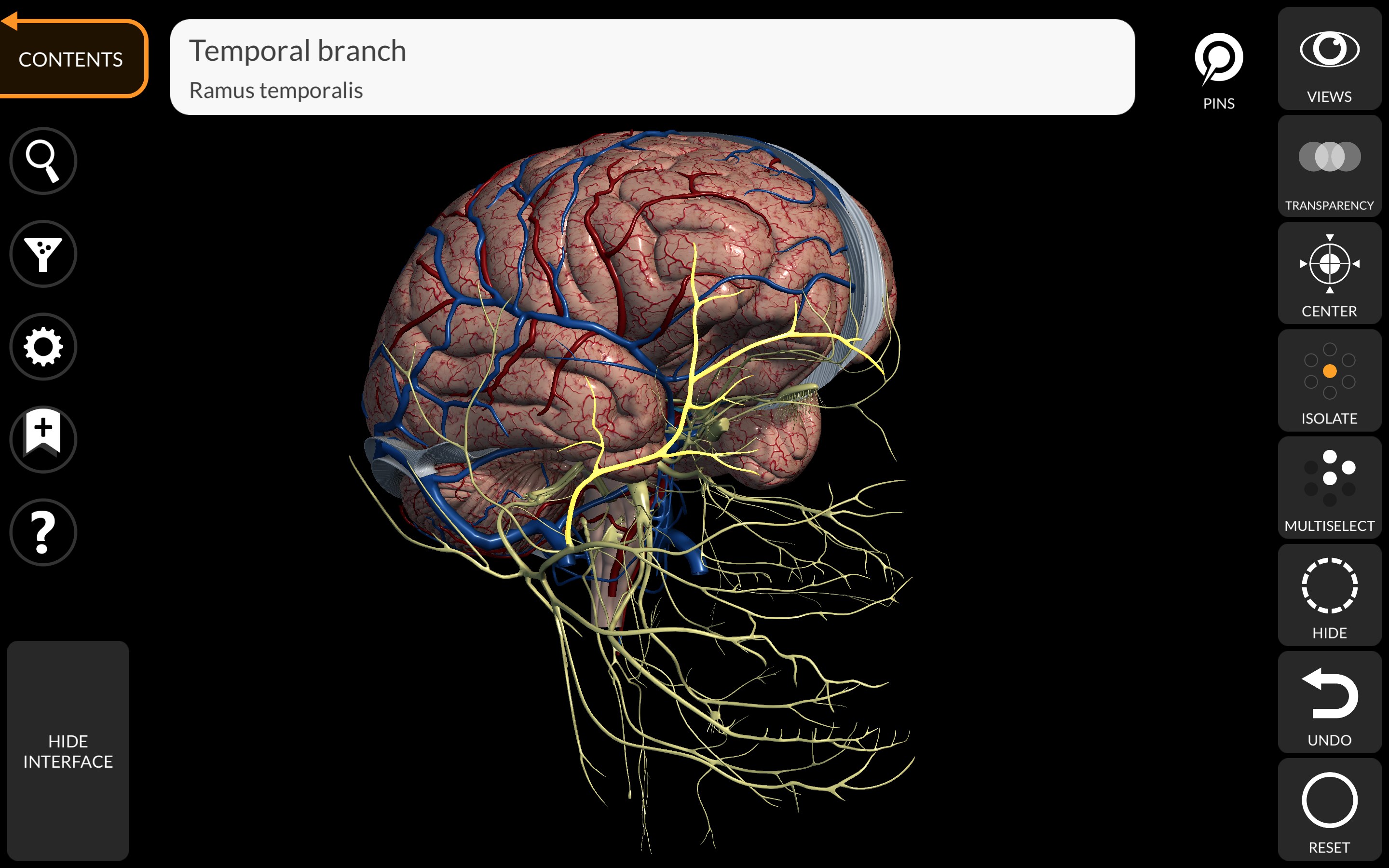 3d brain anatomy software free download netgear print server software download