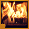 Burning wood Fireplace