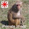 Primateworld