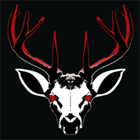 Project 13 Taxidermy