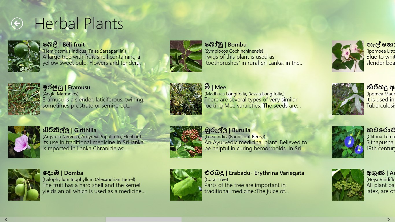 Herbal Plants of Sri Lanka FREE Windows Phone app market
