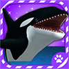 Virtual Pet Orca - The Killer Whale