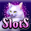 Slot Casino - Glitzy Kitty Free Slots