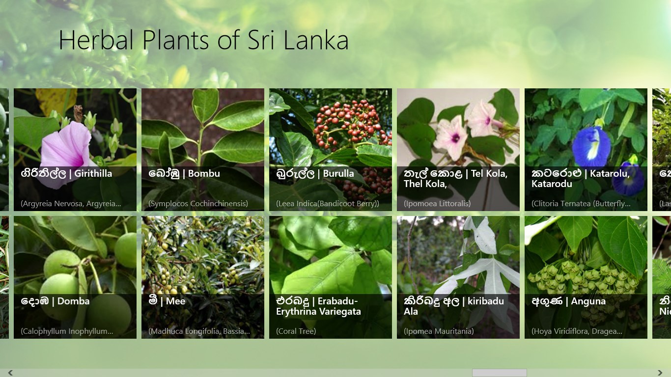 Herbal Plants of Sri Lanka FREE Windows Phone app market