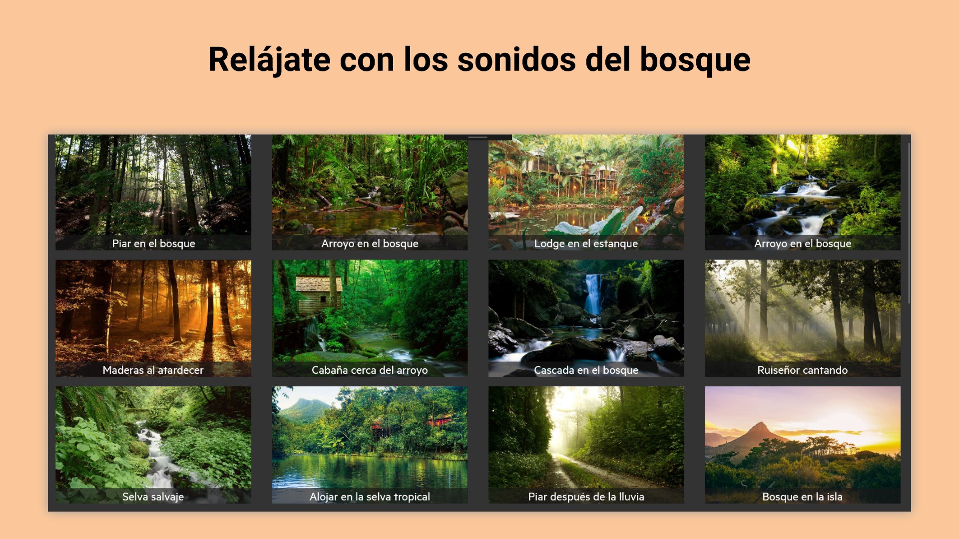 Escuchar Sonidos De La Naturaleza Para Relajarse Microsoft Apps