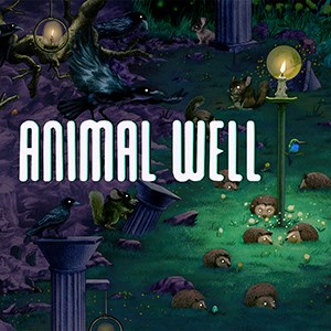 Image for ANIMAL WELL