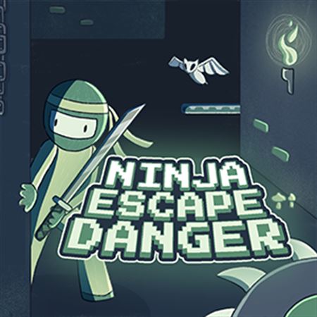 Ninja Escape Danger (Windows)