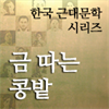 한국근대문학시리즈 - 금 따는 콩밭