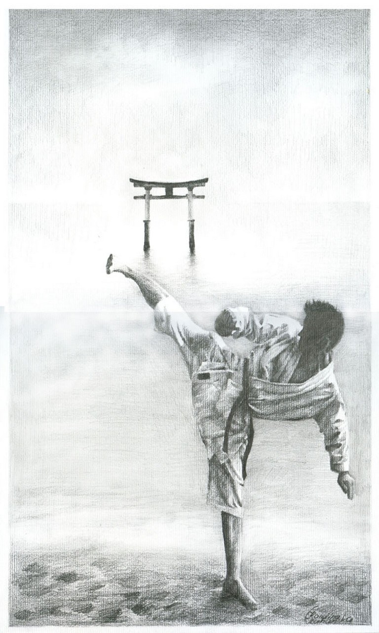 Karate HD Wallpaper Background | FREE Windows Phone app market