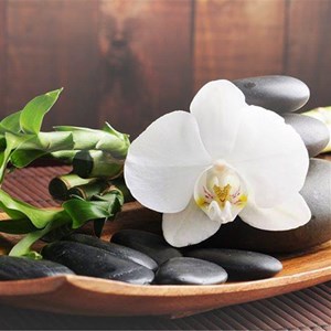 Elegance Hair Beauty Therapy Free Windows Phone App Market