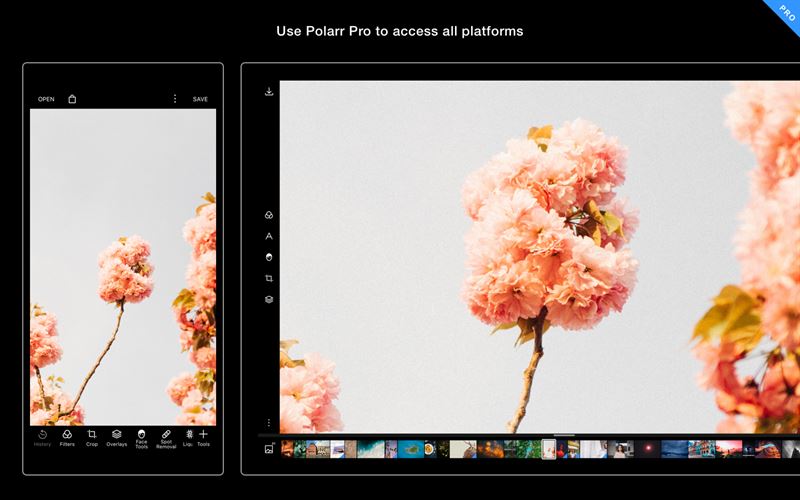 Polarr, avançado editor de fotos, ganha versão gratuita para Windows 10