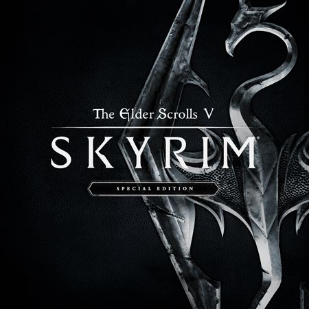 The Elder Scrolls V Skyrim Special Edition (PC)