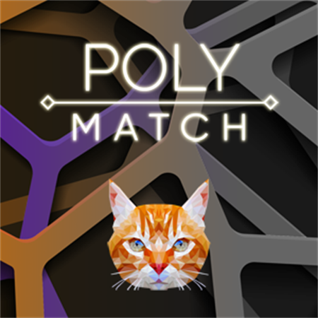 Poly Match