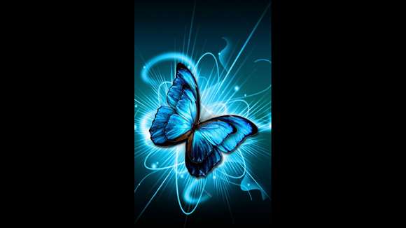 Butterfly Wallpaper Live for Windows 10 free download | TopWinData.com