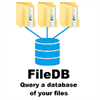FileDB Pro