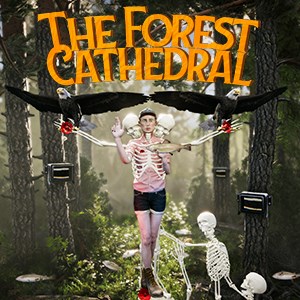 Image for The Forest Cathedral