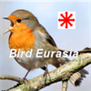 Bird Eurasia