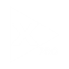 Video X Player Pro