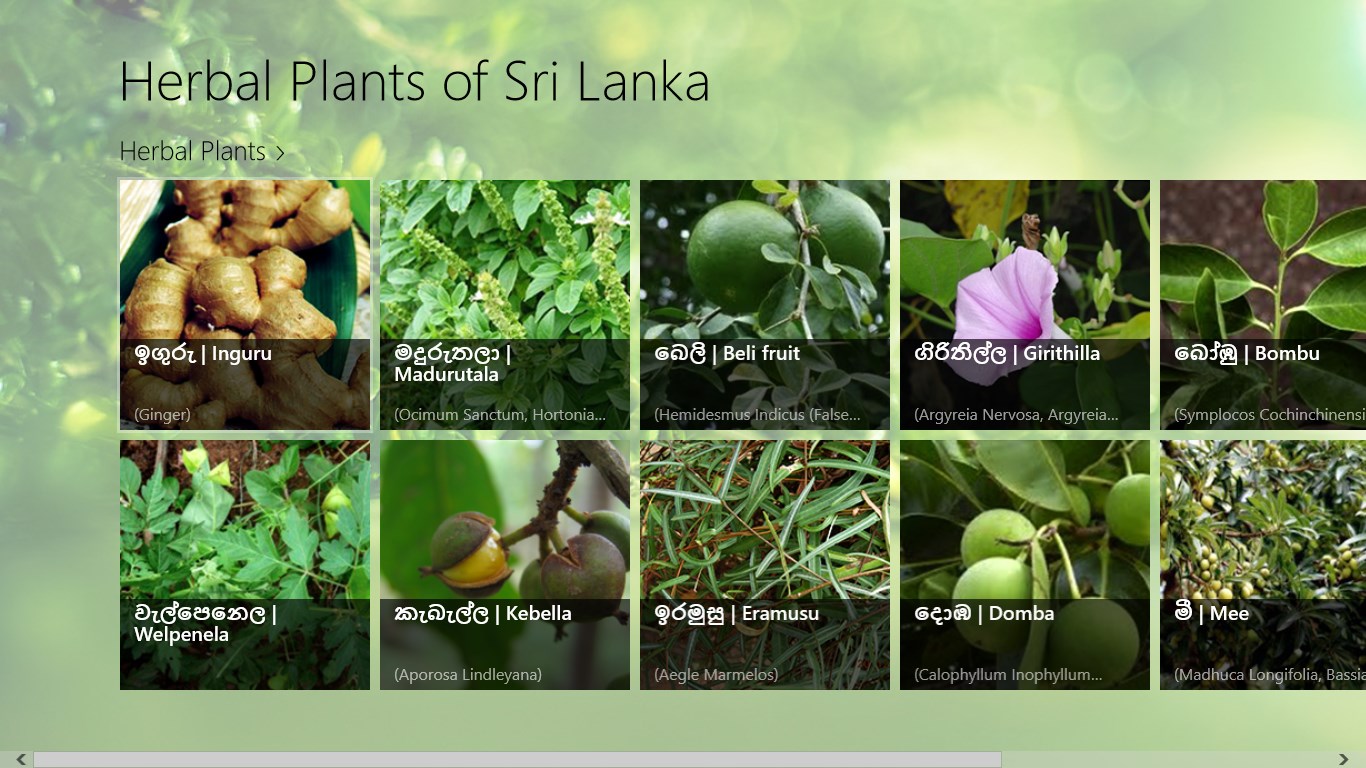 Herbal Plants of Sri Lanka FREE Windows Phone app market