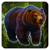 Grizzly Bear Survival Run