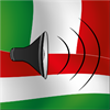 Italian to Hungarian phrasebook