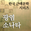 한국근대문학시리즈 - 광염소나타