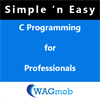 C Programming for Professionals