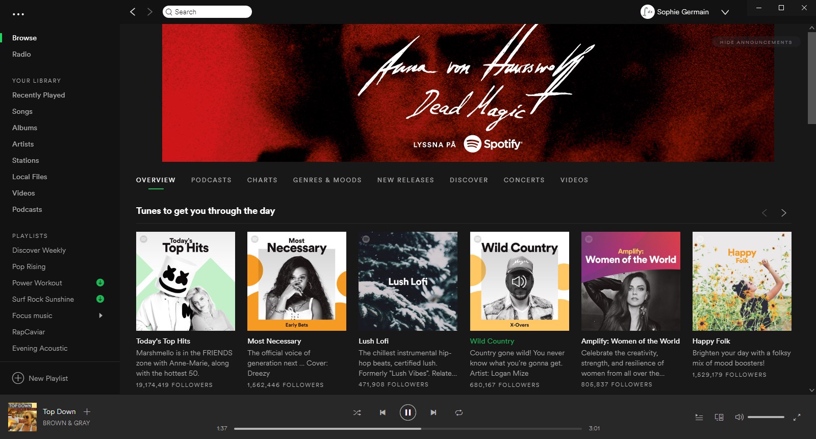 spotify download microsoft