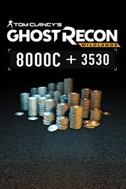Tom Clancy's Ghost Recon® Wildlands - Paquete de créditos extragrande (11 530 créditos GR)