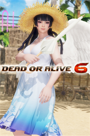Купить ключ дешево Коллекция Летний бриз для DOA6. Нётэнгу