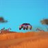 art of rally