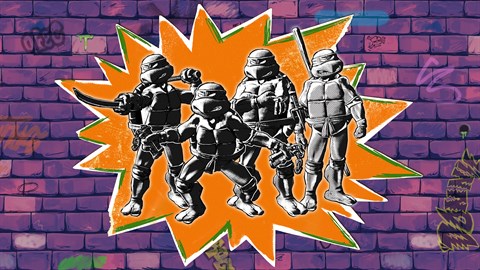 Teenage Mutant Ninja Turtles: Die Mutanten sind Los - 1984-Comicbuch-Paket