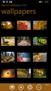 Autumn Wallpapers HD + screenshot 1