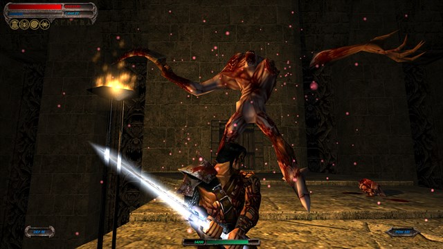 Blade of Darkness screenshot 2