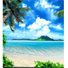 Beach HD Live Wallpaper