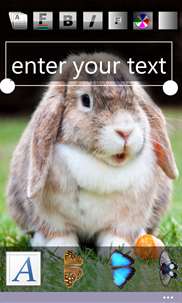 Text on photo: pets screenshot 1