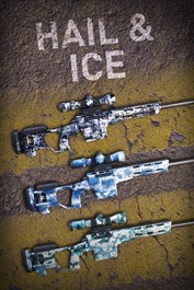 Hail & Ice Skin Pack