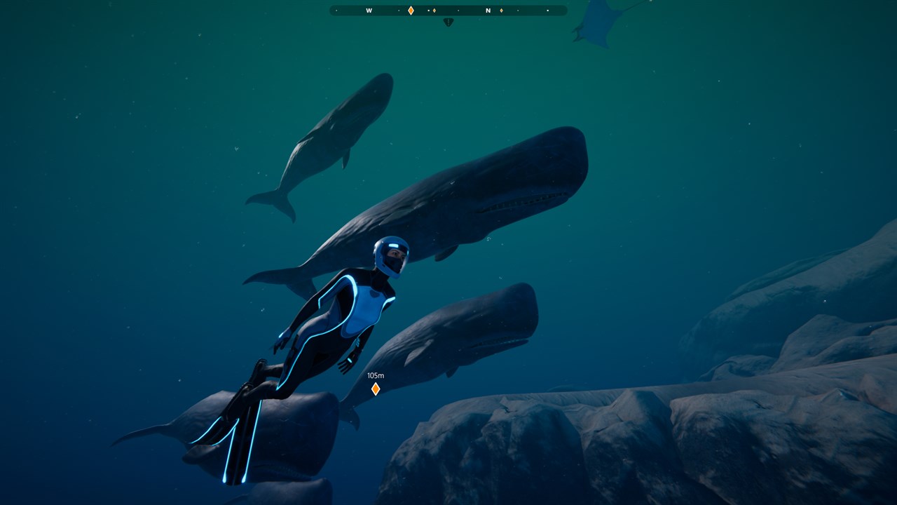 Beyond Blue screenshot 2