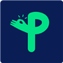 PalmApp. Now! icon