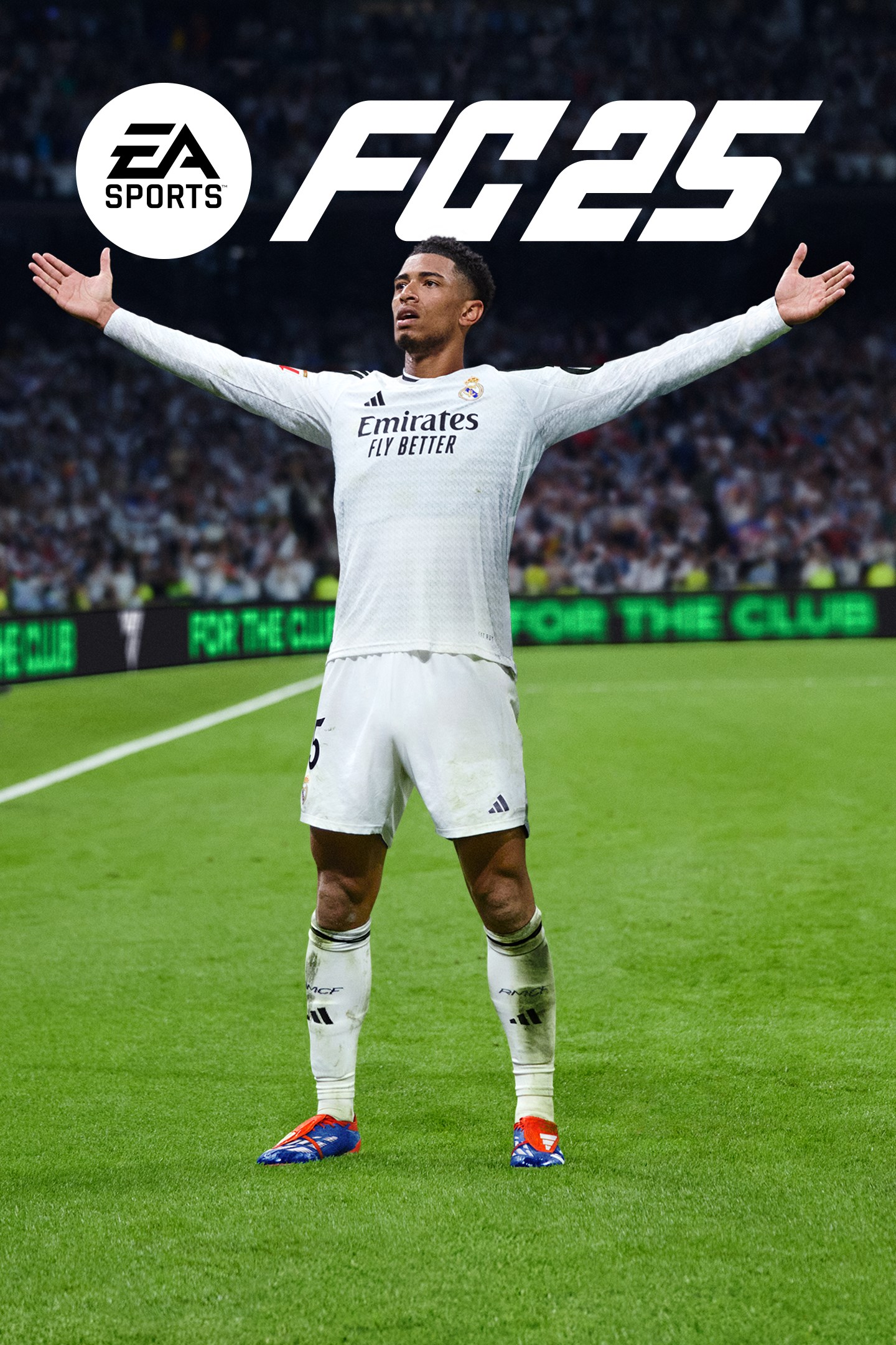 EA SPORTS FC™ 25 - PC