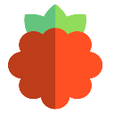 PiHole Browser Extension icon