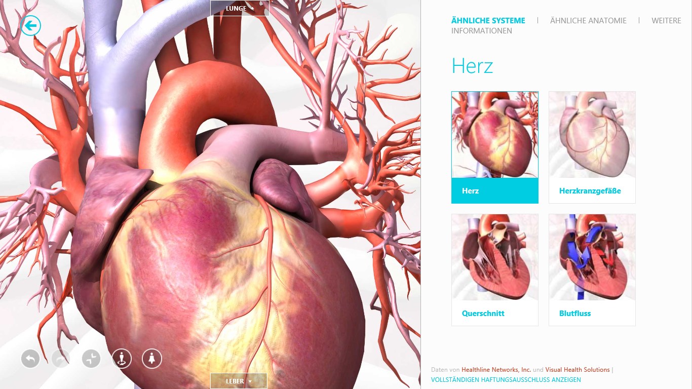 Erhalten Sie weitere Informationen zur Anatomie des Menschen