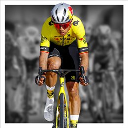 Aperçu Tour de France 2025